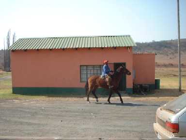 DSCF0013.JPG