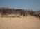 DSCF0016.JPG
