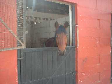 DSCF0025.JPG