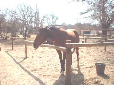 DSCF0028.JPG