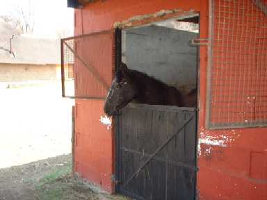DSCF0045.JPG